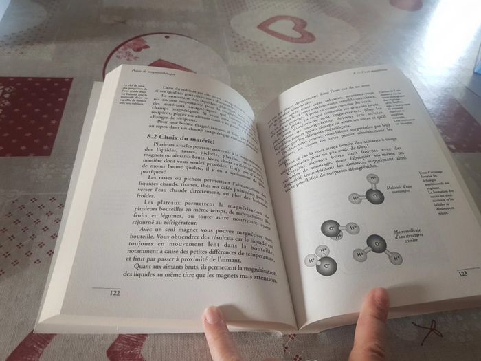 Précis de magnetotherapie - photo numéro 3