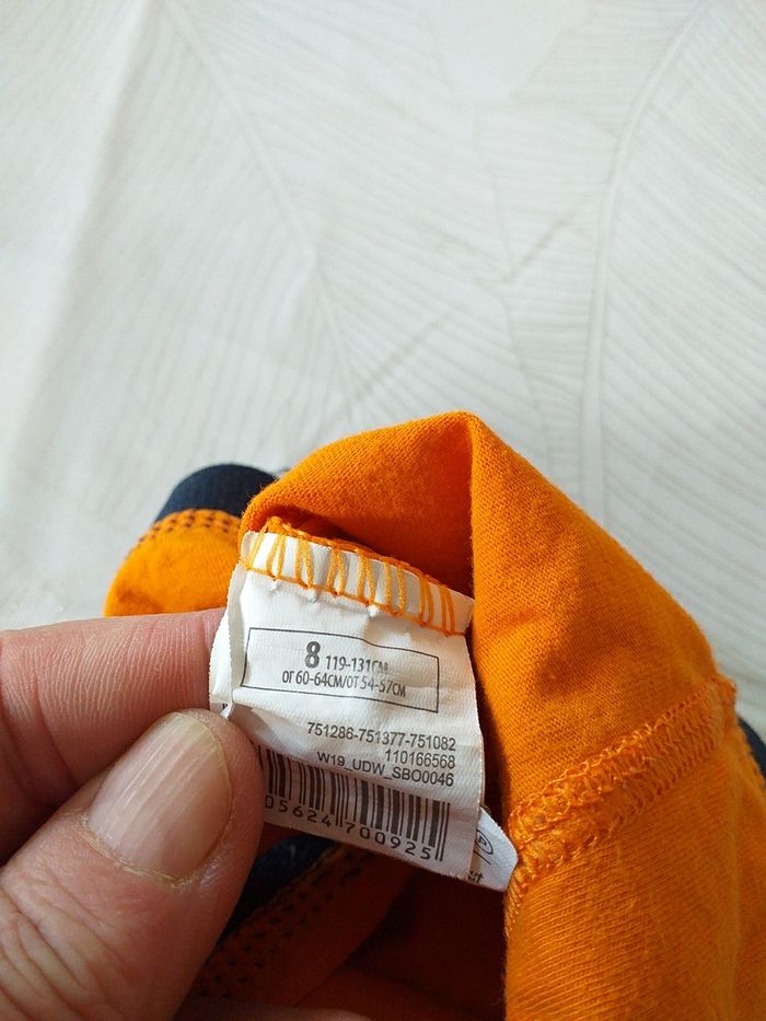 Boxer - photo numéro 2