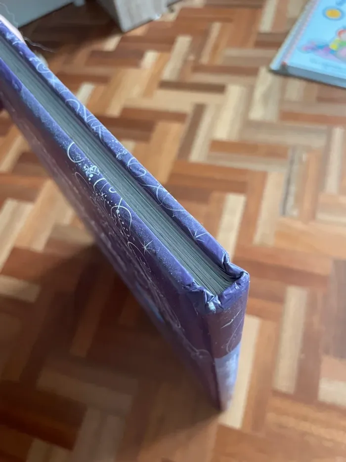 Grand livre - photo numéro 3