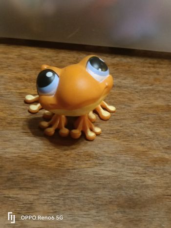 LPS grenouille 🐸