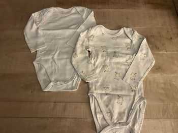 Lot 2 bodies 