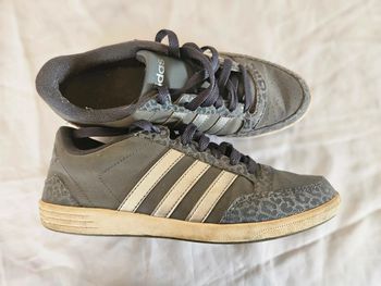 Adidas Neo léopard