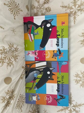 2 livres Mes histoires de Loup collection Auzou