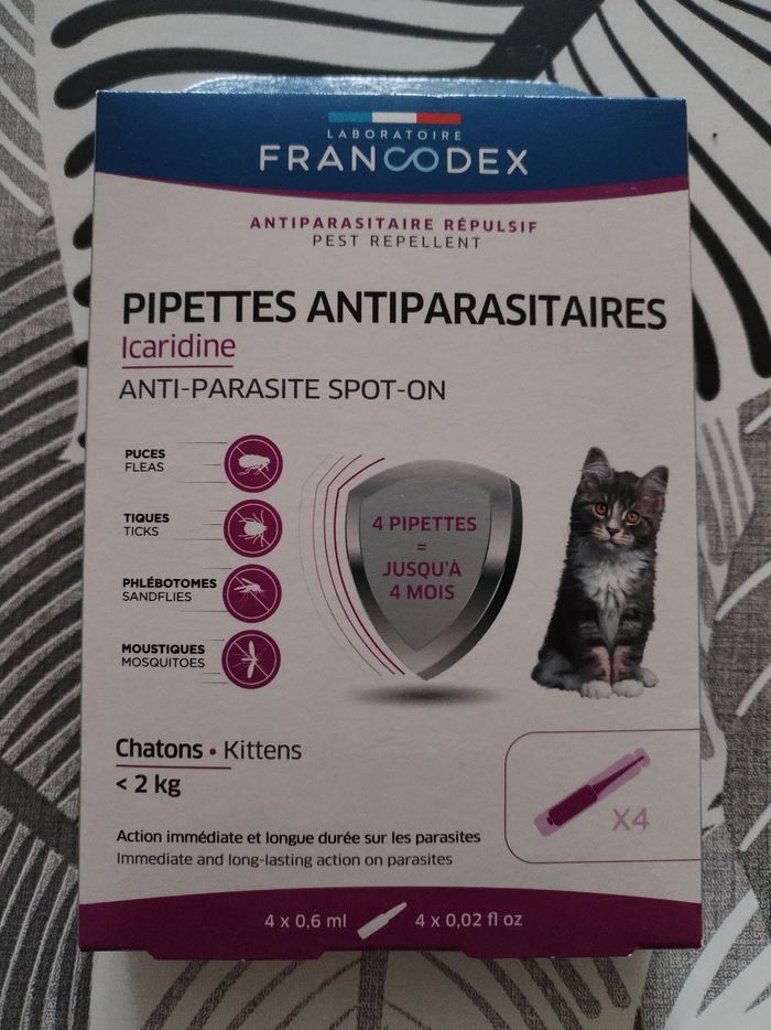Accessoire pour chat
