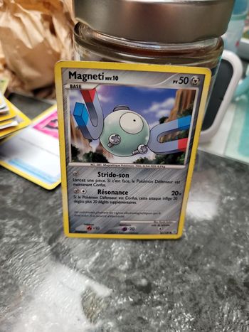 Pokémon magneti niv10