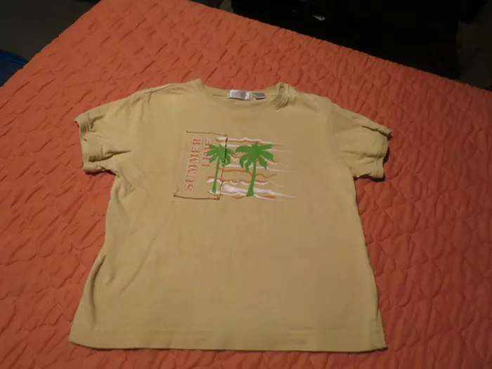 T-shirt taille 3 ans garçon - photo numéro 2