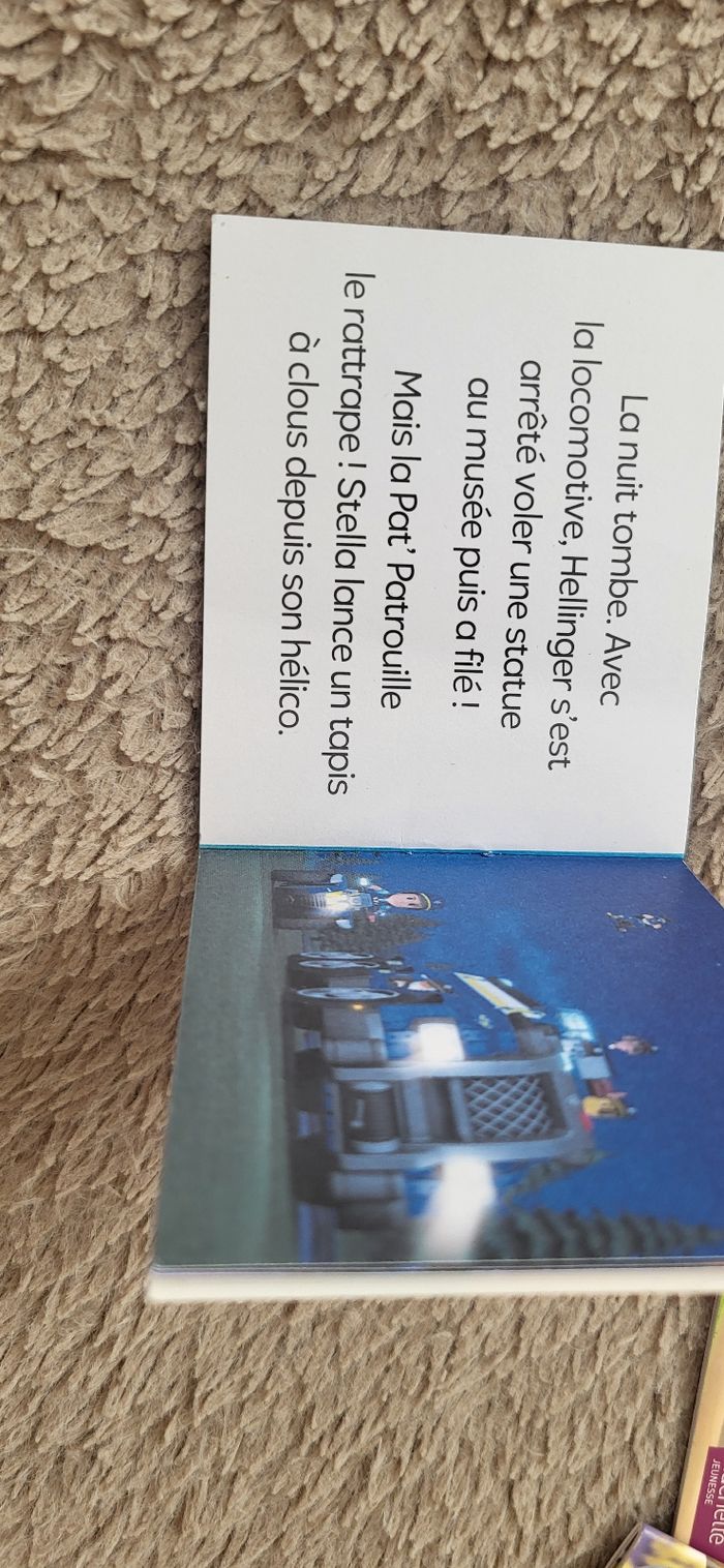 20 mini livre pat patrouille - photo numéro 3