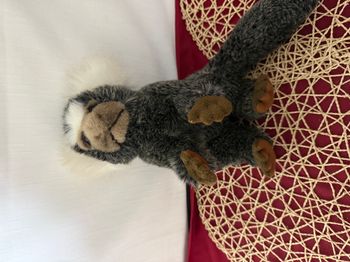 peluche ouistiti