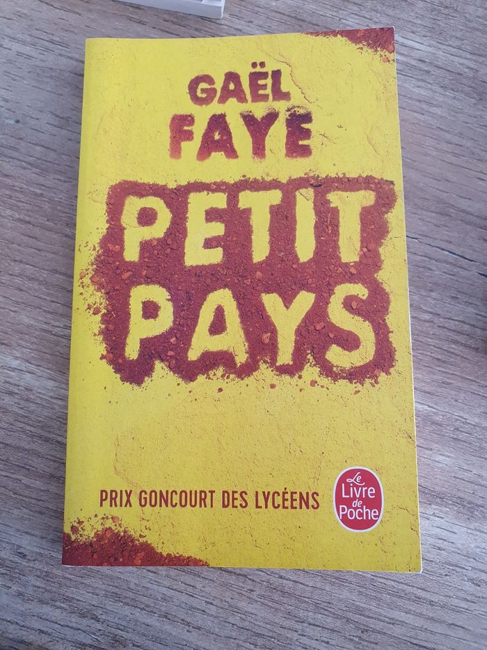 Livre petit pays