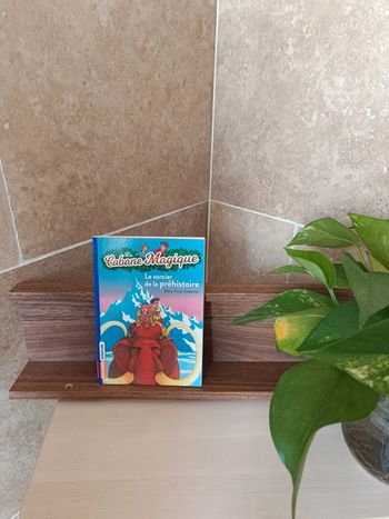 Livre la cabane magique