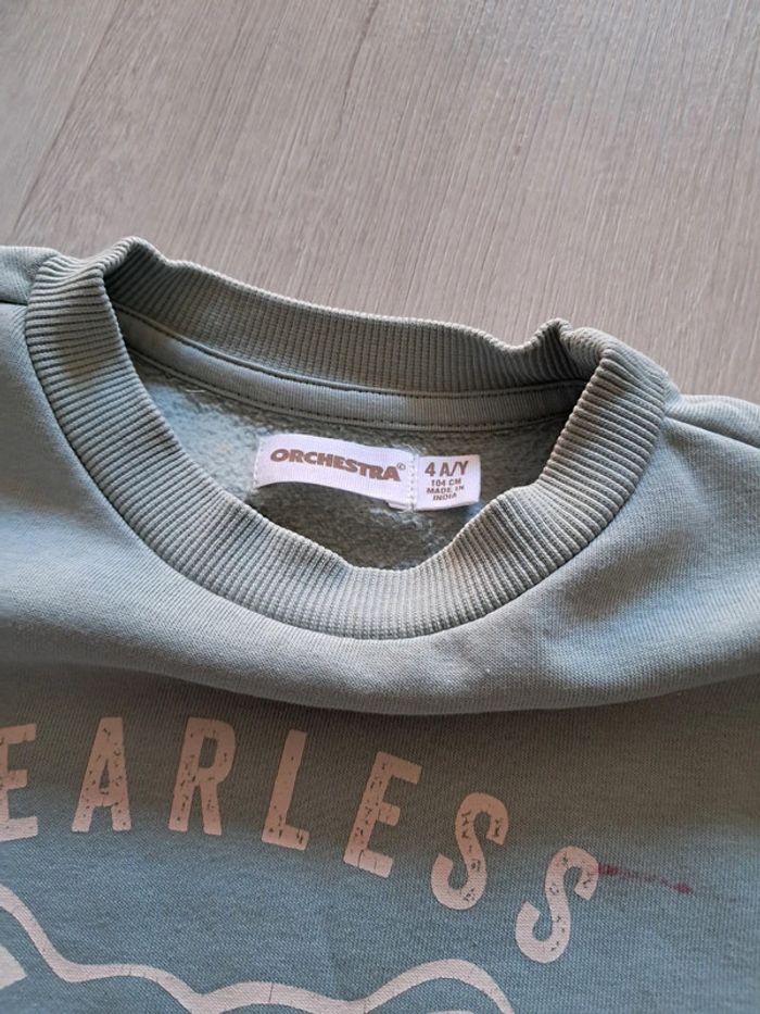 Sweat tigre - photo numéro 4