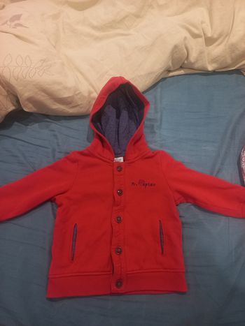 Gilet a capuche