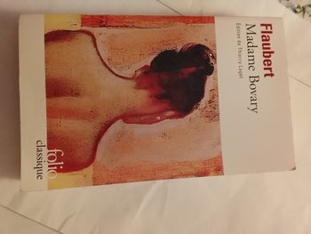 Madame Bovary. Flaubert