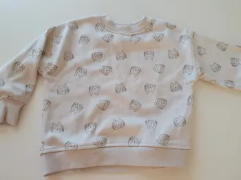 Sweat chien