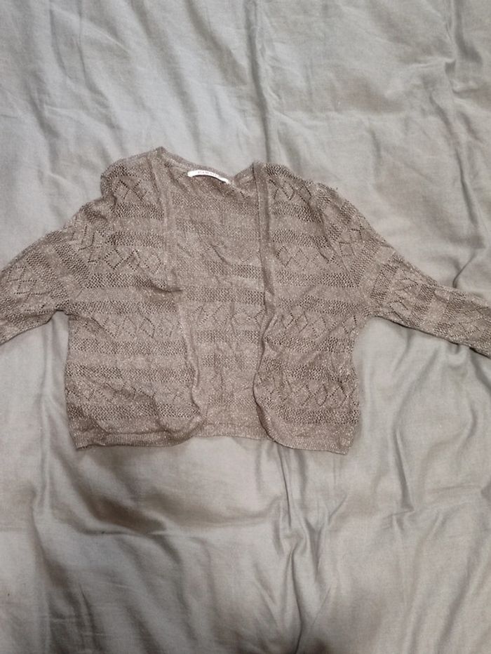 Gilet - photo numéro 2