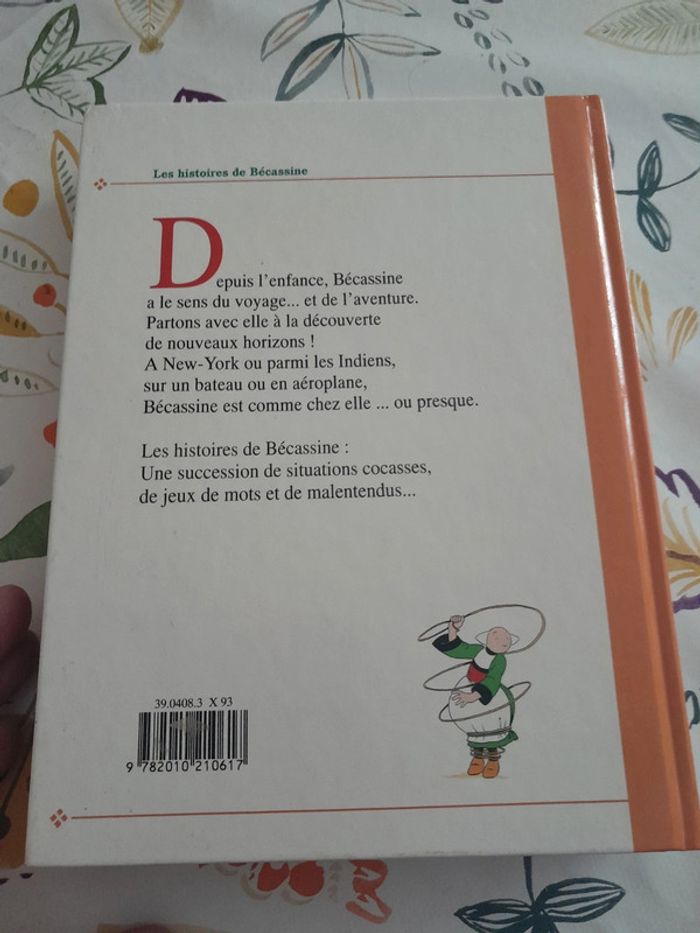 Becassine voyage - photo numéro 2