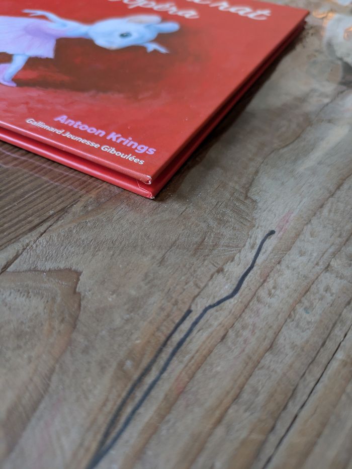 Livre Nora petit rat de l'opéra - Antoon Krings - photo numéro 6