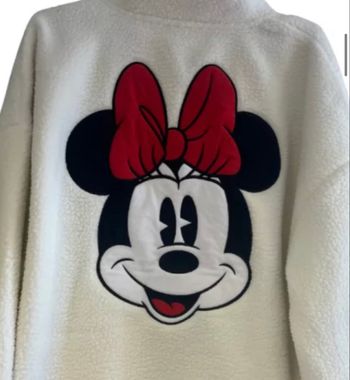 Polaire disneyland paris Minnie / Mickey/ grincheux / Donald 