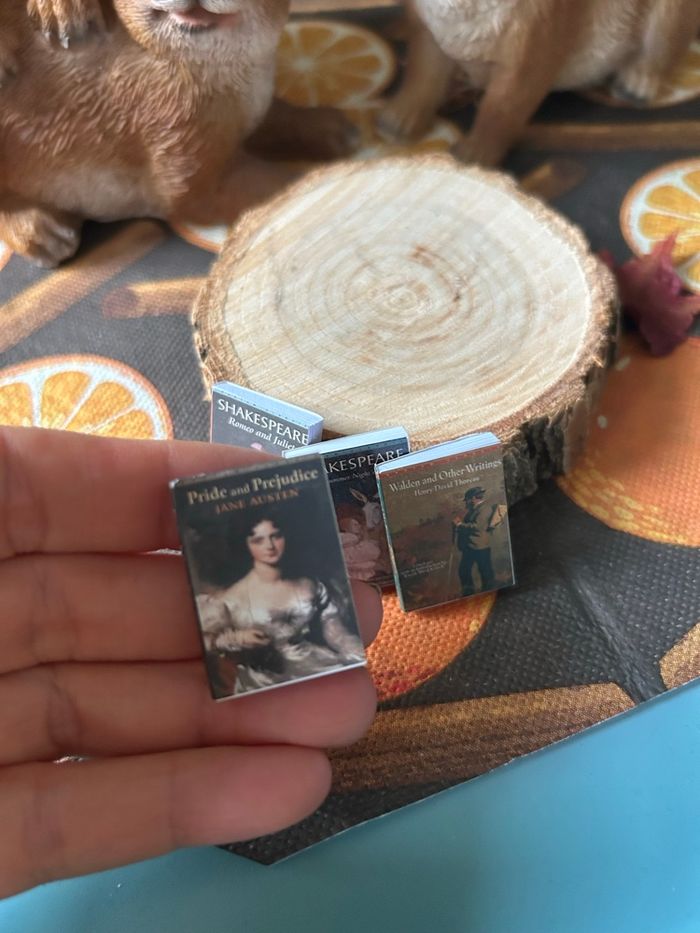 Lot de livres  miniatures pour maison de poupée - photo numéro 10