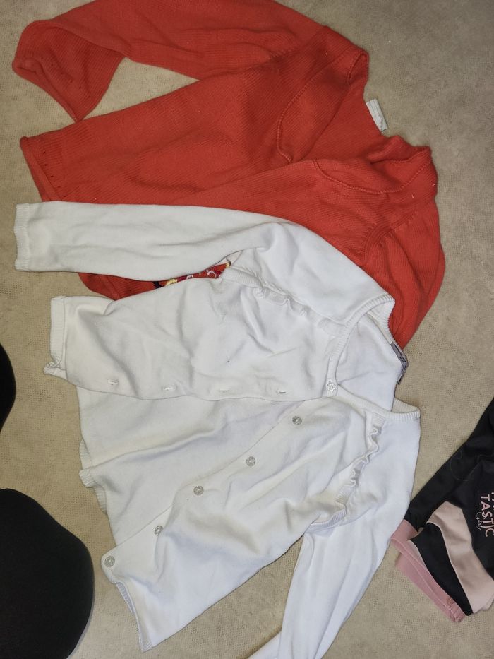 Lot hauts - photo numéro 4