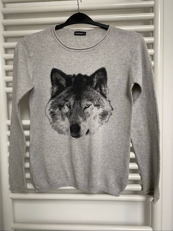 Pull   léger  gris .