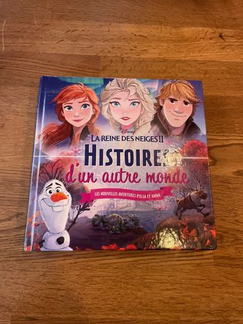 Livre histoires 12 histoires Disney La reine des neiges 2 Histoires d’un autre monde