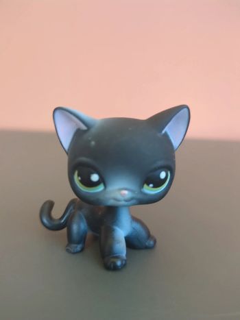 littlest petshop chat