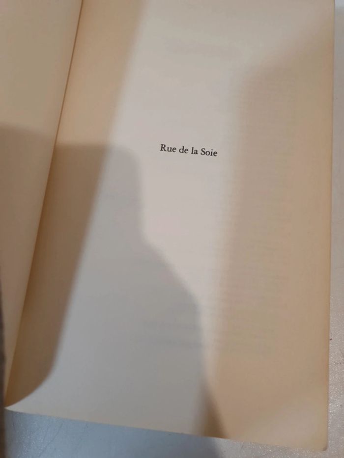 Livre Rue du soie - photo numéro 9