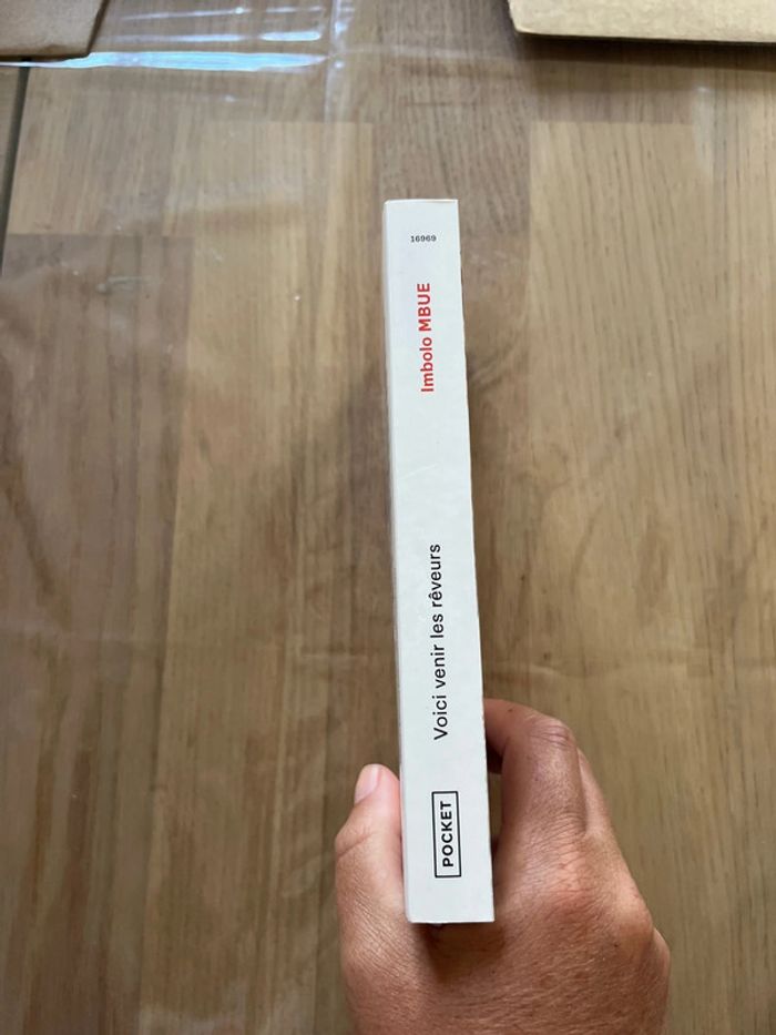 Livre voici venir les rêveurs mbue - photo numéro 4