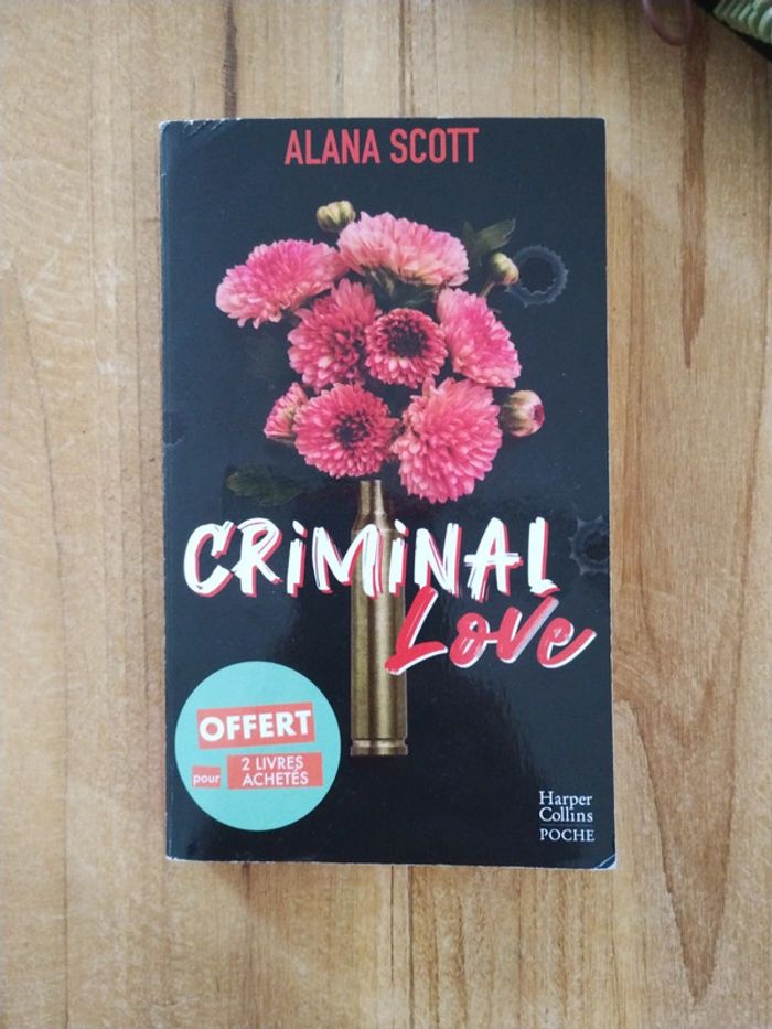 Criminal love - Alana Scott - photo numéro 2