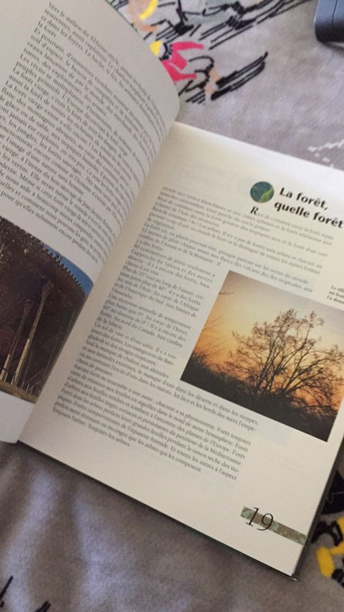 Les Forêts - photo numéro 5