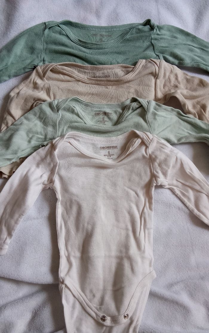 Lot bodies 6M