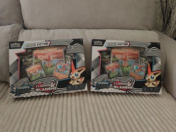 Lot de 2 coffrets victini 10.5