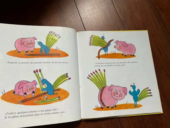 Cornicochon livre enfant - photo numéro 5