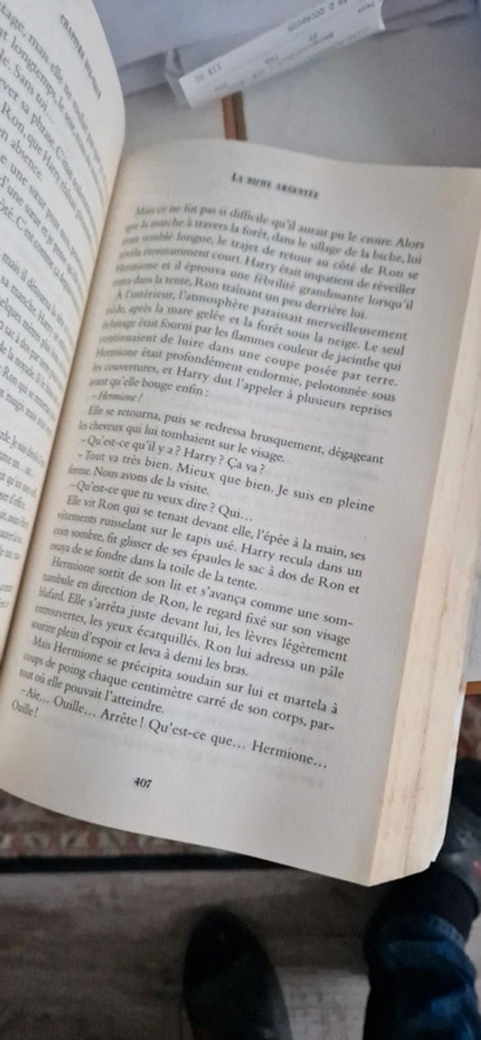 Harry potter les reliques de la mort grand format - photo numéro 8