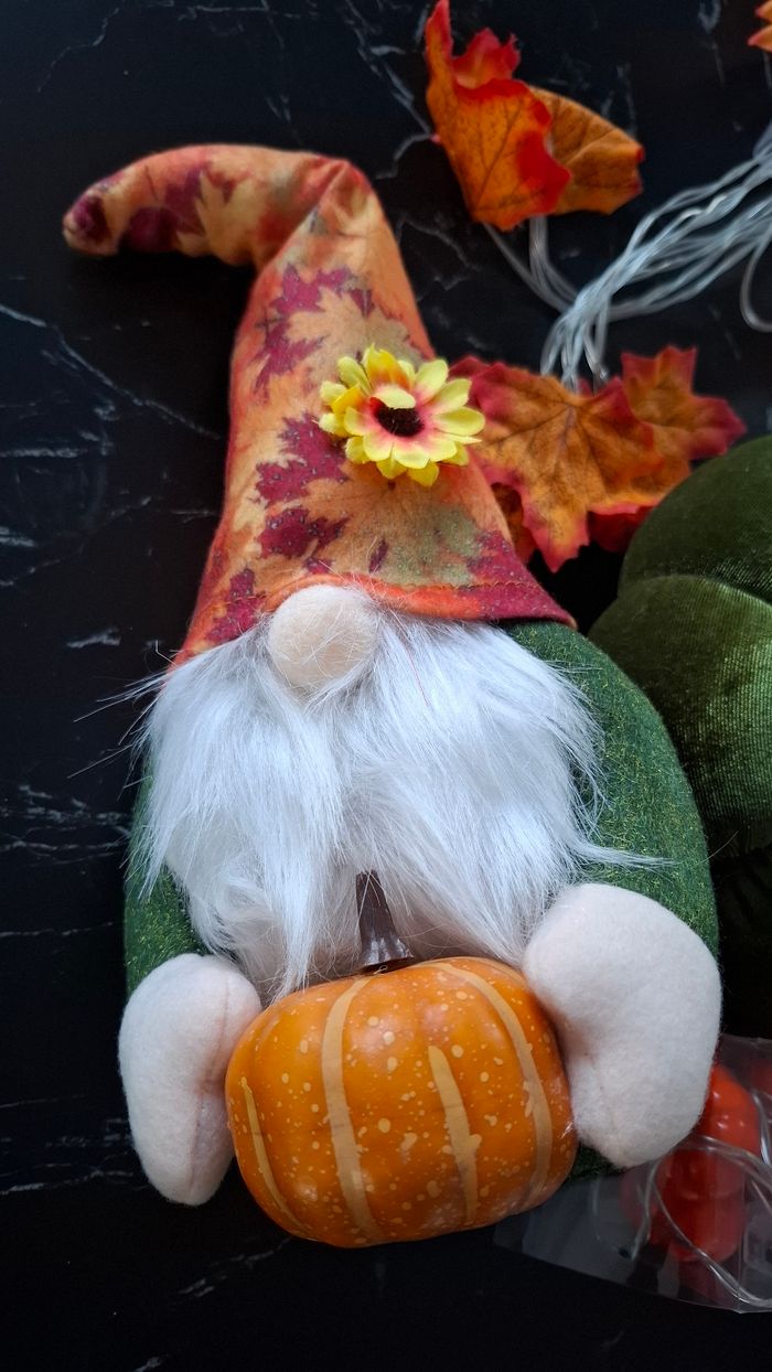 Lot déco décoration automne citrouille guirlande gnome - photo numéro 2