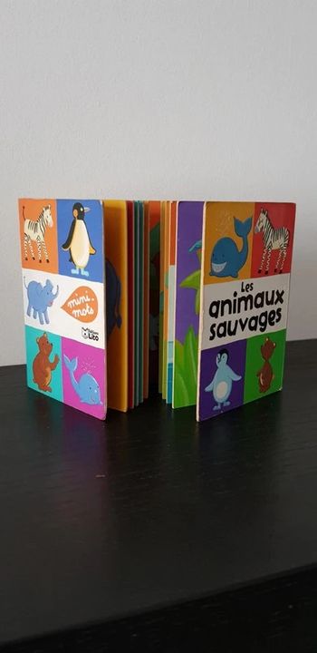 Livre enfant Les animaux sauvages