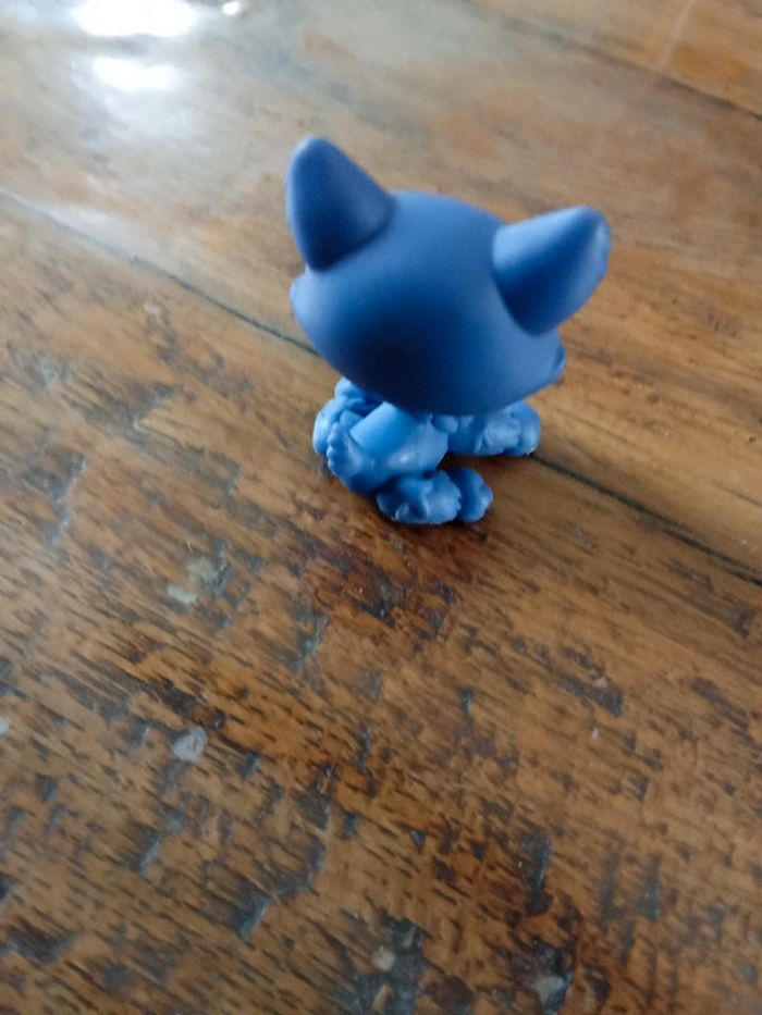 Petshop husky - photo numéro 2