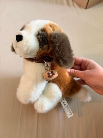 Peluche Saint-Bernard Suisse