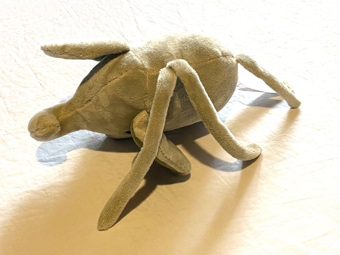 Petit Eléphant Gris Intérieur Oreilles Verts Boule Musicale Animal Savane Peluche Enfants Bébés - photo numéro 4