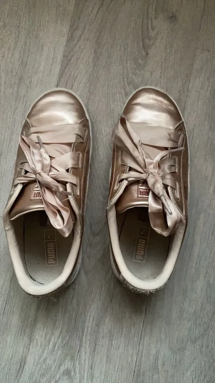 Puma heart lunar