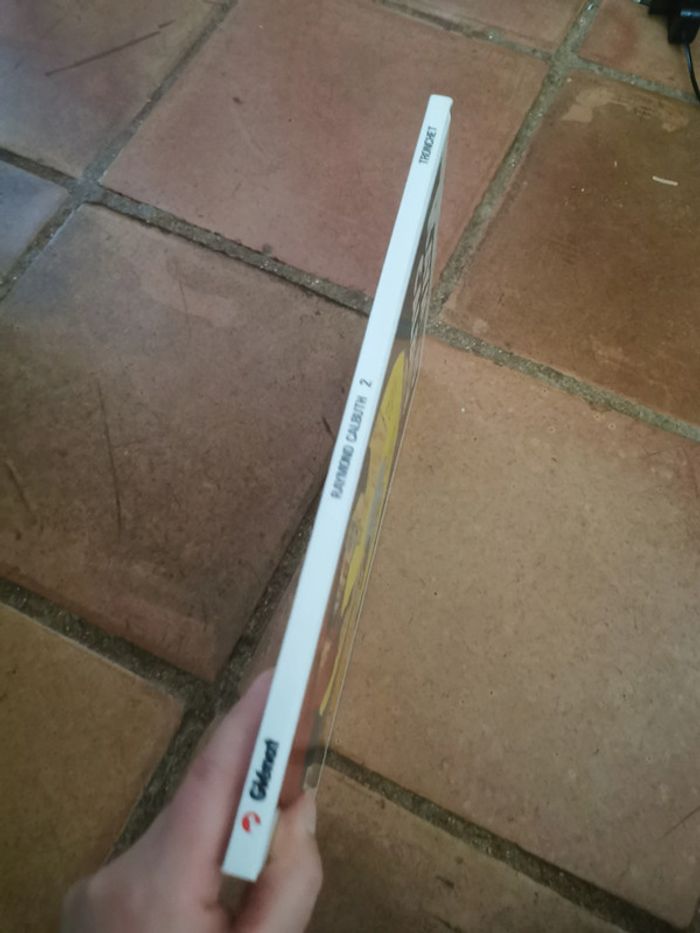 BD Raymond Calbuth à la conquête du globe - photo numéro 10