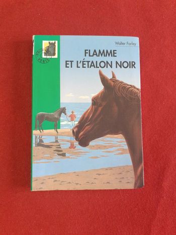 Flamme et l'étalon noir tome 325 " Bibliothèque verte "
