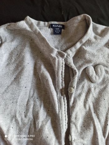 Gilet gris