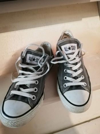 Converse basse grise
