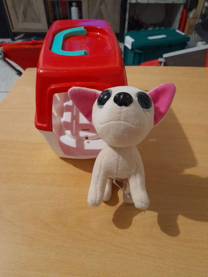 Chien avec caisse de transport