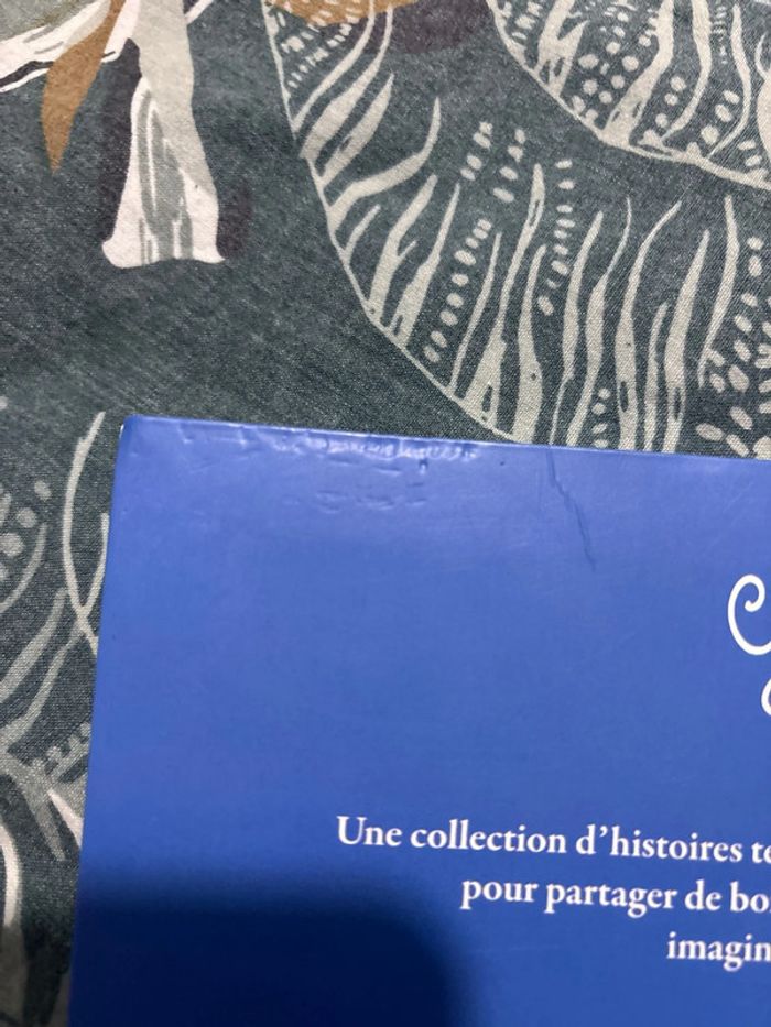 Livre le loup qui fêtait son anniversaire - photo numéro 7