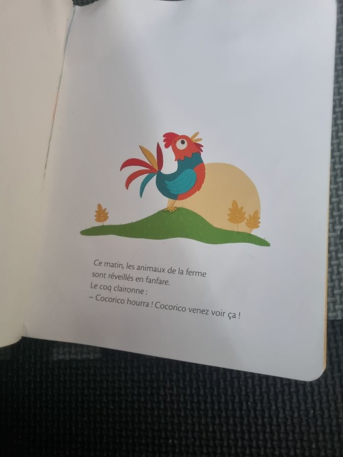 Livre enfant Un gros coco au cocola - photo numéro 6