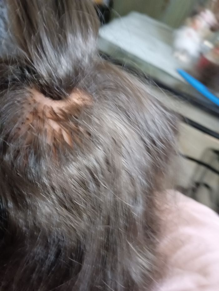 Poupée Cathy de Bella - photo numéro 6