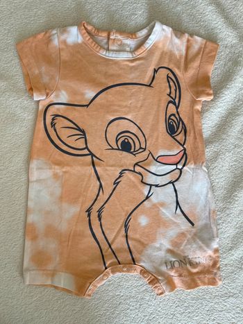 Combi roi lion